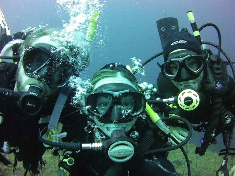 Training Dives